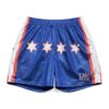 CM Punk Blue Entrance Shorts