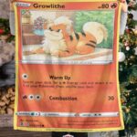 Pokemon Grownlithe Fusion Strike Blanket   -DOQ02-9704