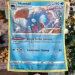 Pokemon Huntail Fusion Strike Blanket   -HL6DJ-5371