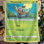 Pokemon Phantump Fusion Strike Blanket   -DP04X-5201