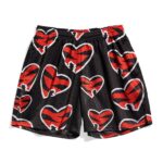 Shawn Michaels HBK Backlash 2004 Entrance Shorts